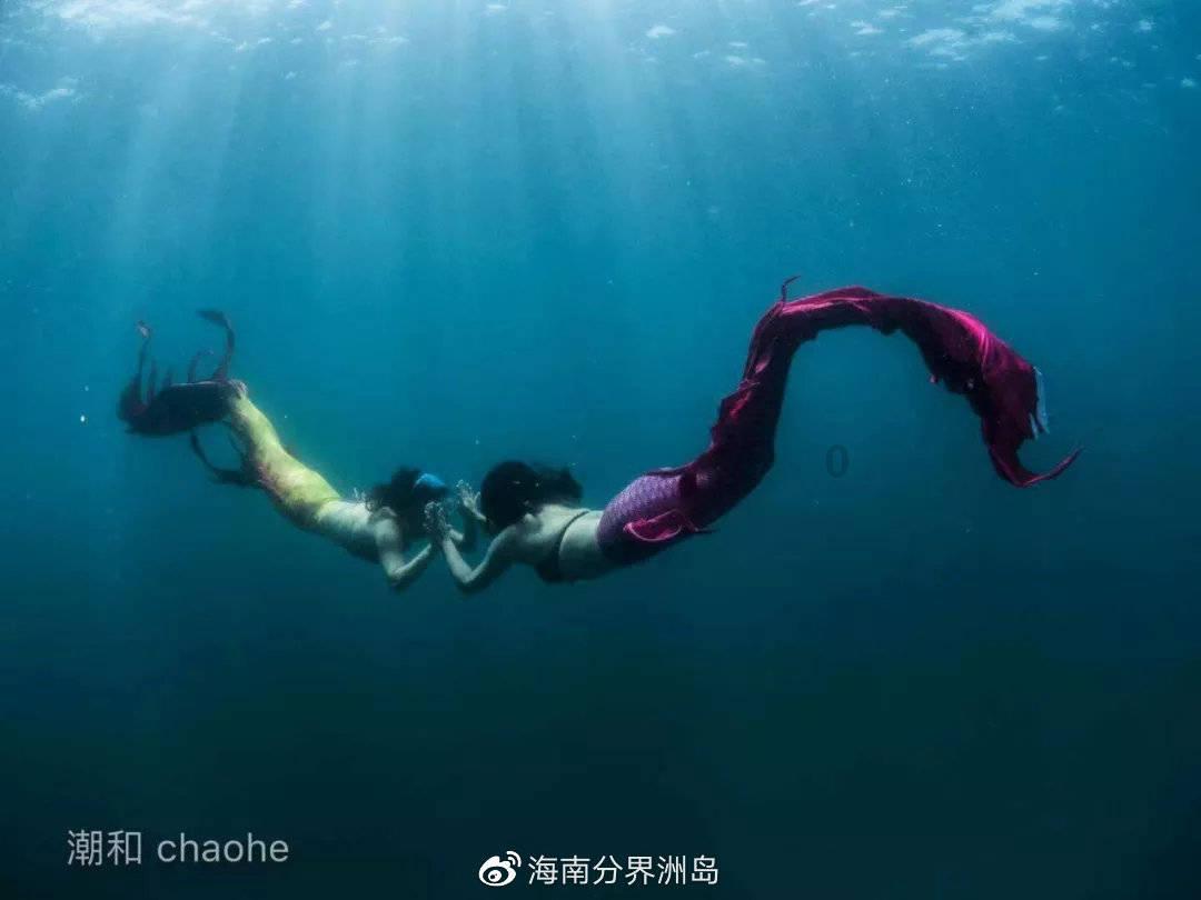 刘德华易烊千玺周冬雨等出席中国电影家协会第十一次全国代表大会
