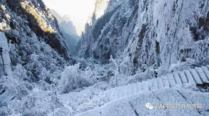 刘志清:2024年银行业有望持续保持稳健发展势头,机构和功能布局更为合理